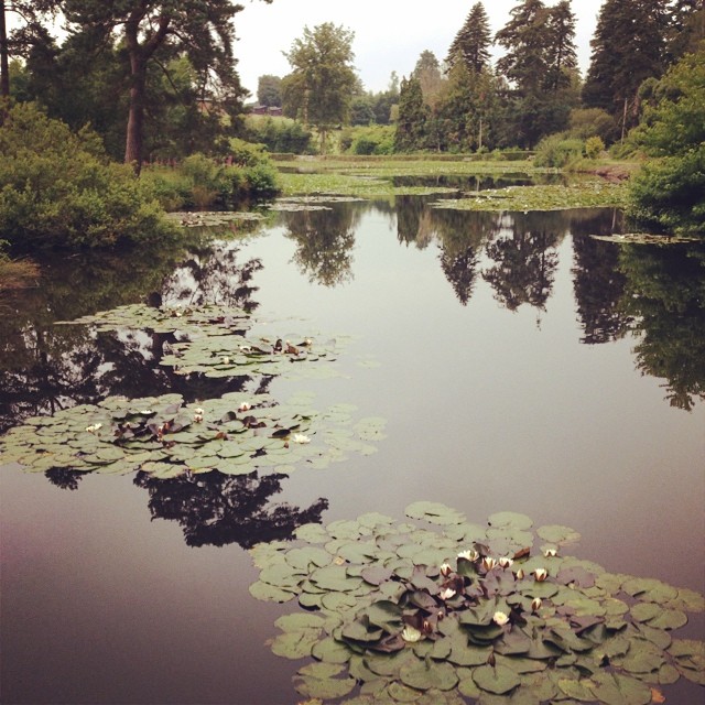 10505318_10154380015385481_1250128185175459722_n