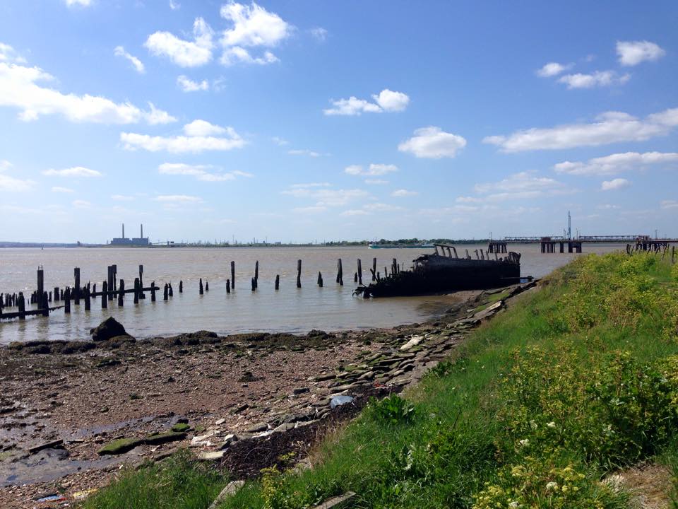 11140307_10155546827970481_1562524834806319747_n